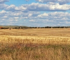 Panorama Outback