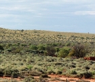 Outback-Szene