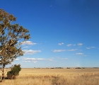 Outback-Szene