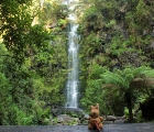 Erskine-Falls