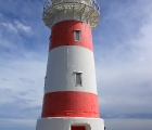 Der Leuchtturm von Cape Palliser
