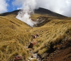 Abstieg am Tongariro