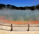 Eigentlich ein Giftcocktail. Der Champagnerpool von Wai-O-Tapu.