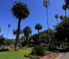 Park in Napier