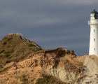 Castlepoint Leuchtturm