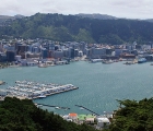 Wellington 