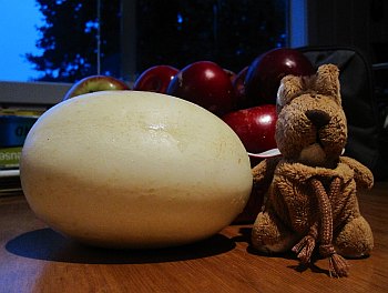 Apple_Cucumber_350 Apple-Cucumber