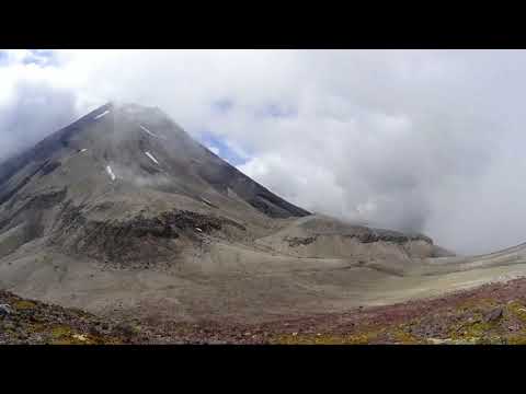 Taranaki im Nebel