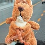 Beutelthierchen_Dubai_240 Das Beutelthierchen auf dem Flughafen in Dubai