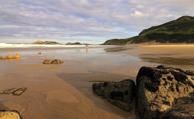 Ocean Beach bei Whangarei Heads