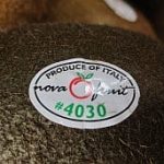 IMG_4563_Kiwi_aus_Italien_240 Italienische Kiwi