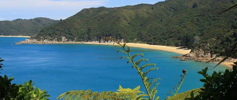 IMG_4860_Abel_Tasman_Artikelbild