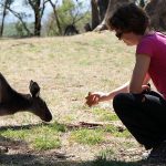 Thierchen_und_Kaenguruh Kennenlernen - Beutelthierchen und sein Vetter