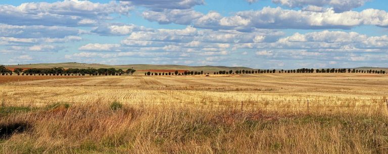 04_IMG_6874_Panorama_Outback_Artikelbild