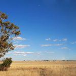 Outback_640 Typische Outbacklandschaft