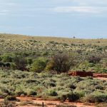 Outback bei Broken Hill