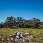 Kahurangi NP