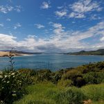 Hokianga Harbour