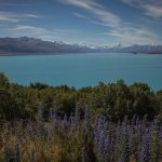 Blick über den Lake Pukaki bis zum Mt. Cook Lake Pukaki