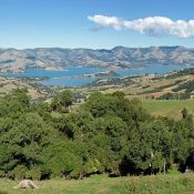 Banks Peninsula