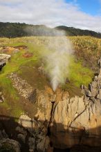 Hier spuckts. Aber nur aus dem Blowhole bei den Pancake Rocks. Pancake Rocks