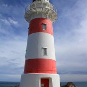 Der Leuchtturm von Cape Palliser