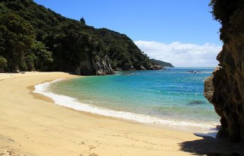 Sonne, Sommer, Sand. Traumstrand im Abel-Tasman-Nationalpark Strand im Abel-Tasman-Nationalpark