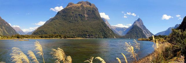 Blick auf den Milford Sound. Halbrechts der Mitre Peak. Milford Sound