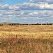 Panorama Outback