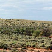 Outback-Szene