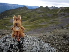 Das Beutelthierchen geniesst die Aussicht am Arthurs Point hoch über den Nelson Lakes. Arthurs Point