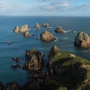 Nugget Point / Neuseeland