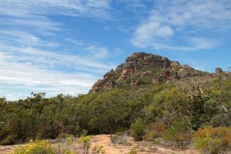 Blauer Himmel, grüner Busch und orange-leuchtender Fels in den Grampians. Grampians