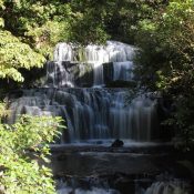 Purakaunui-Falls