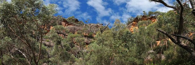 Am Rande einer unserer Wanderungen im Grampians-Nationalpark. Grampians