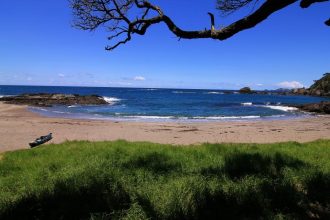 Strandidyll auf der Nordinsel nahe der Bay of Islands Strandidyll auf der Nordinsel nahe der Bay of Islands