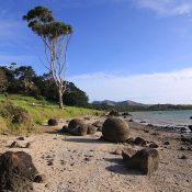 Koutu Boulders