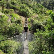 Auf dem Whitecliffs-Walkway