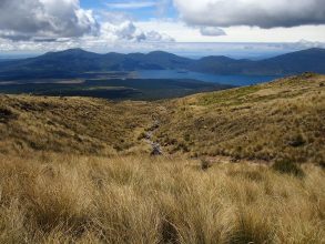 Abstieg am Tongariro: In der Ferne sieht man den Lake Taupo Lake Taupo in der Ferne