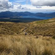 Lake Taupo in der Ferne