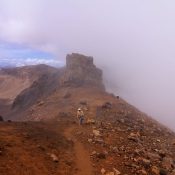 Nebel am Tongariro