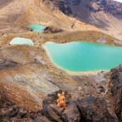 Das Beutelthierchen und die Emerald Lakes