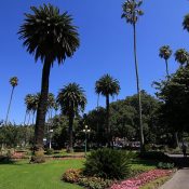 Park in Napier