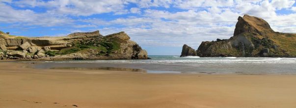 Der tolle Strand bei Castlepoint. Rechts sieht man Castlerock. Strand Castlepoint