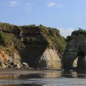 Was macht der Elefant am Strand?